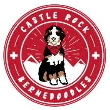 Castle Rock Bernedoodles