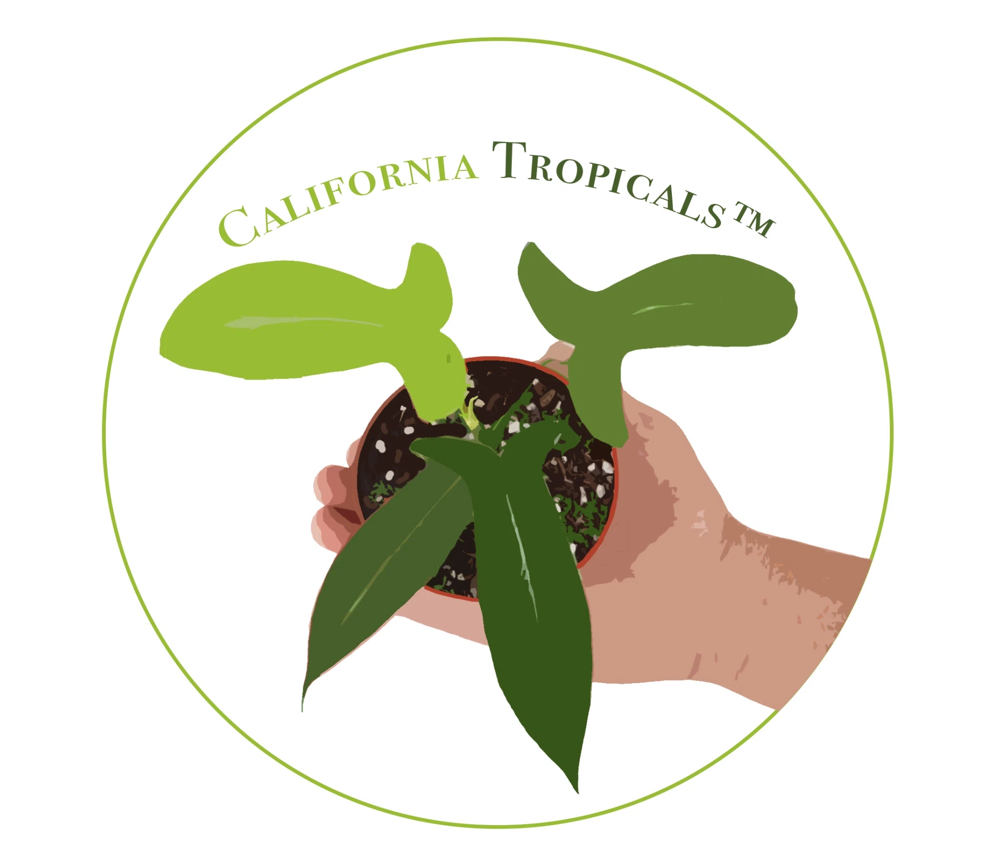 California Tropicals