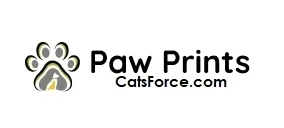 Catsforce