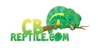 CB Reptile