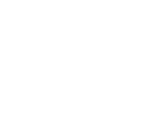 Cellar '54