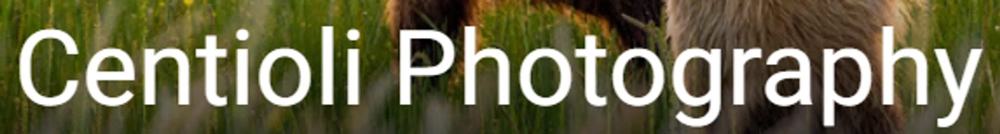 Centioli Photography