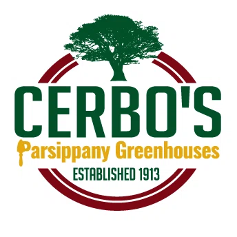 Cerbo's Parsippany