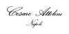 Cesare Attolini