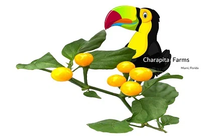 Charapita Farms