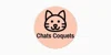 Chats Coquets