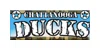 Chattanooga Ducks