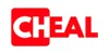 Cheal Hangover Patch