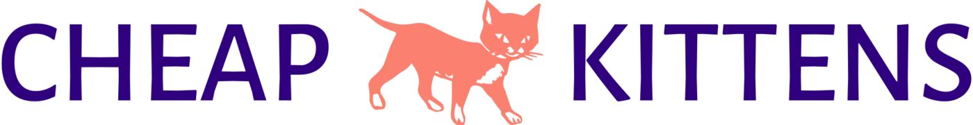 Cheap Kittens