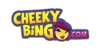 Cheeky Bingo