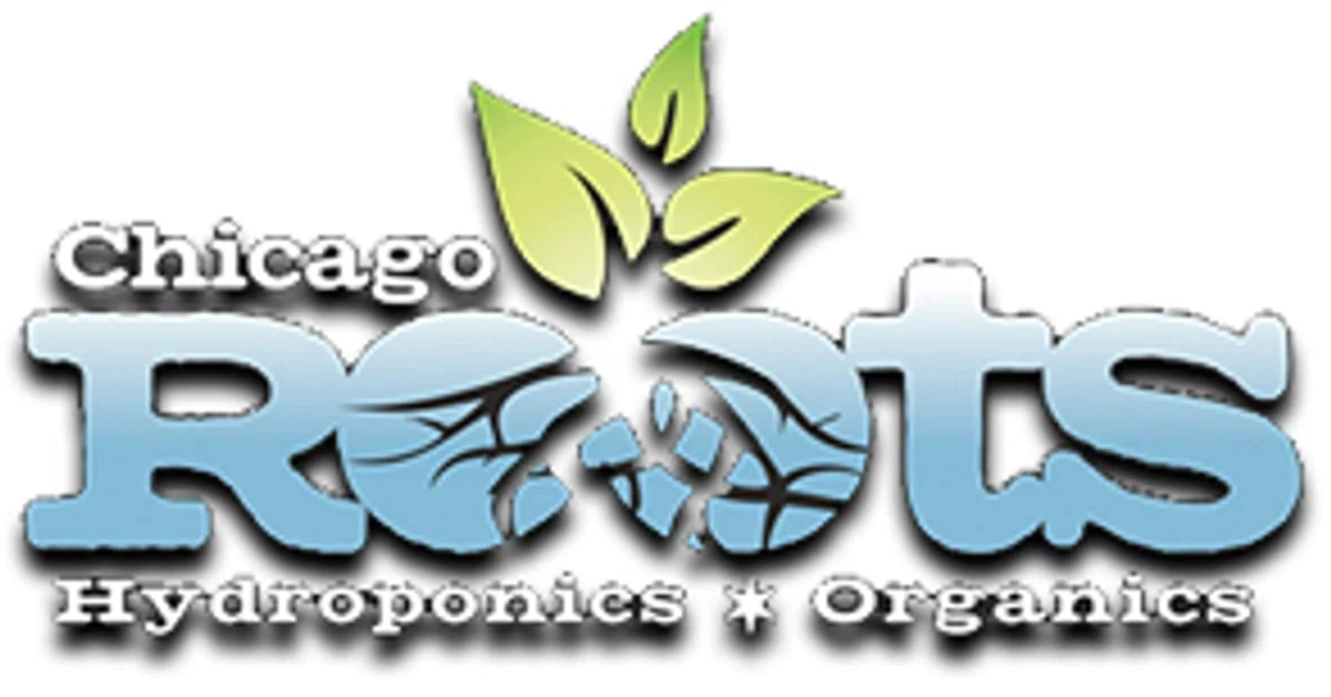 Chicago Roots