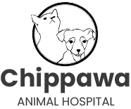 Chippawa Animal Hospital