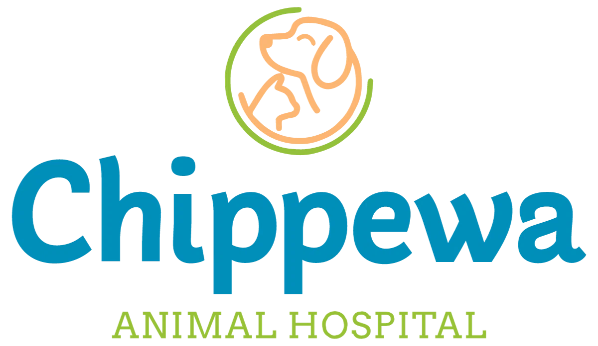 Chippewa Animal Hospital