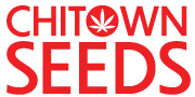 Chitown Seeds