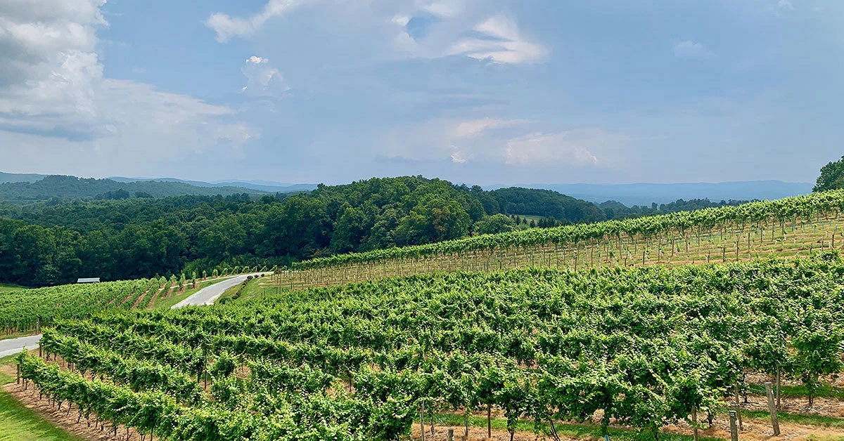 Christian Paul Vineyards