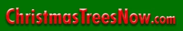 Christmas Trees Now