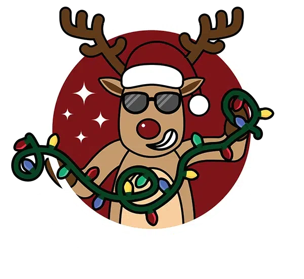 Christmas Lights 419