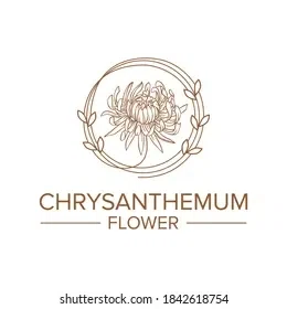 Chrysanthemum Rare Tea & Flowers
