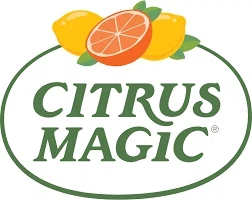 Citrus Magic