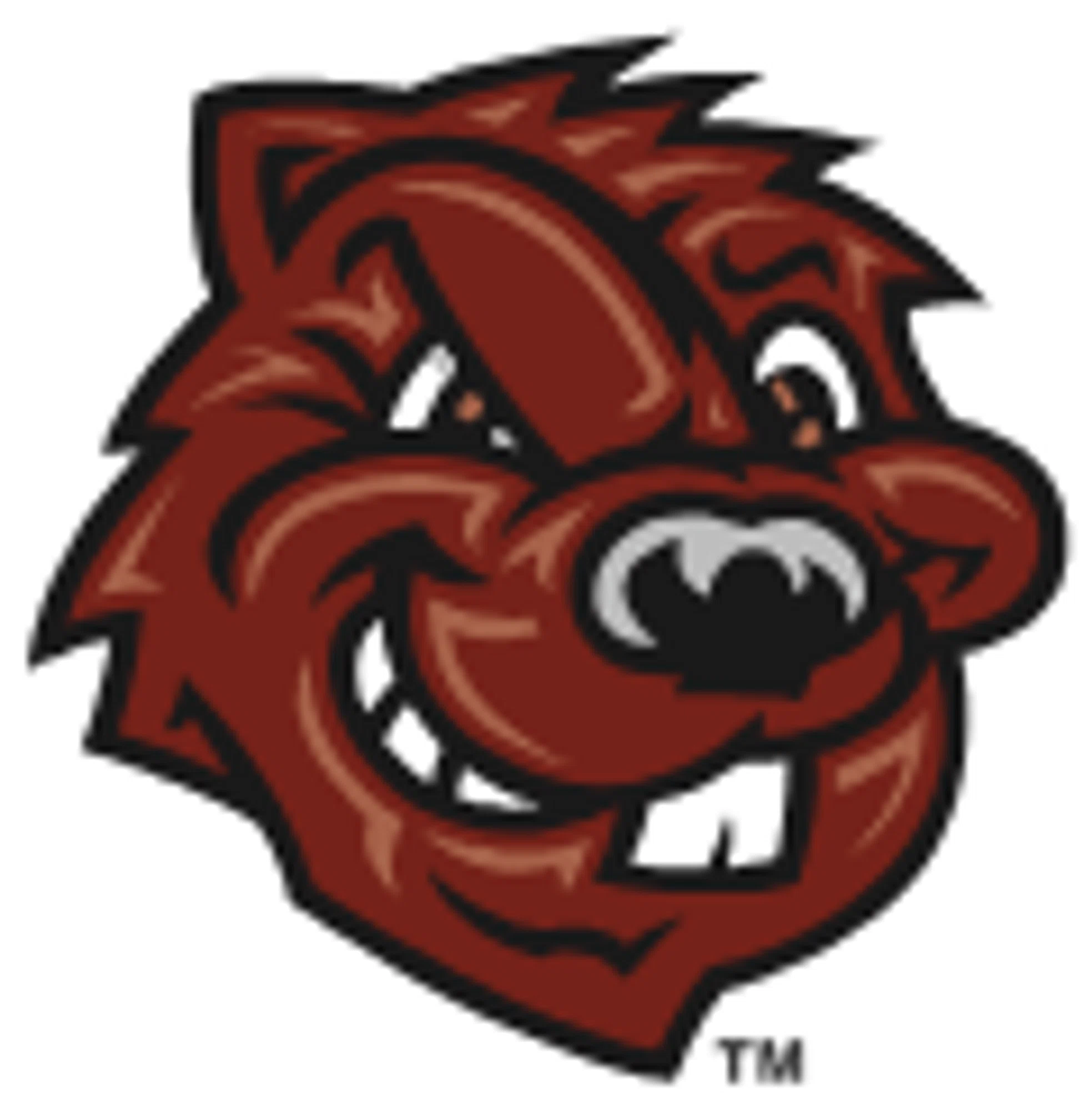 City College of New York Beavers