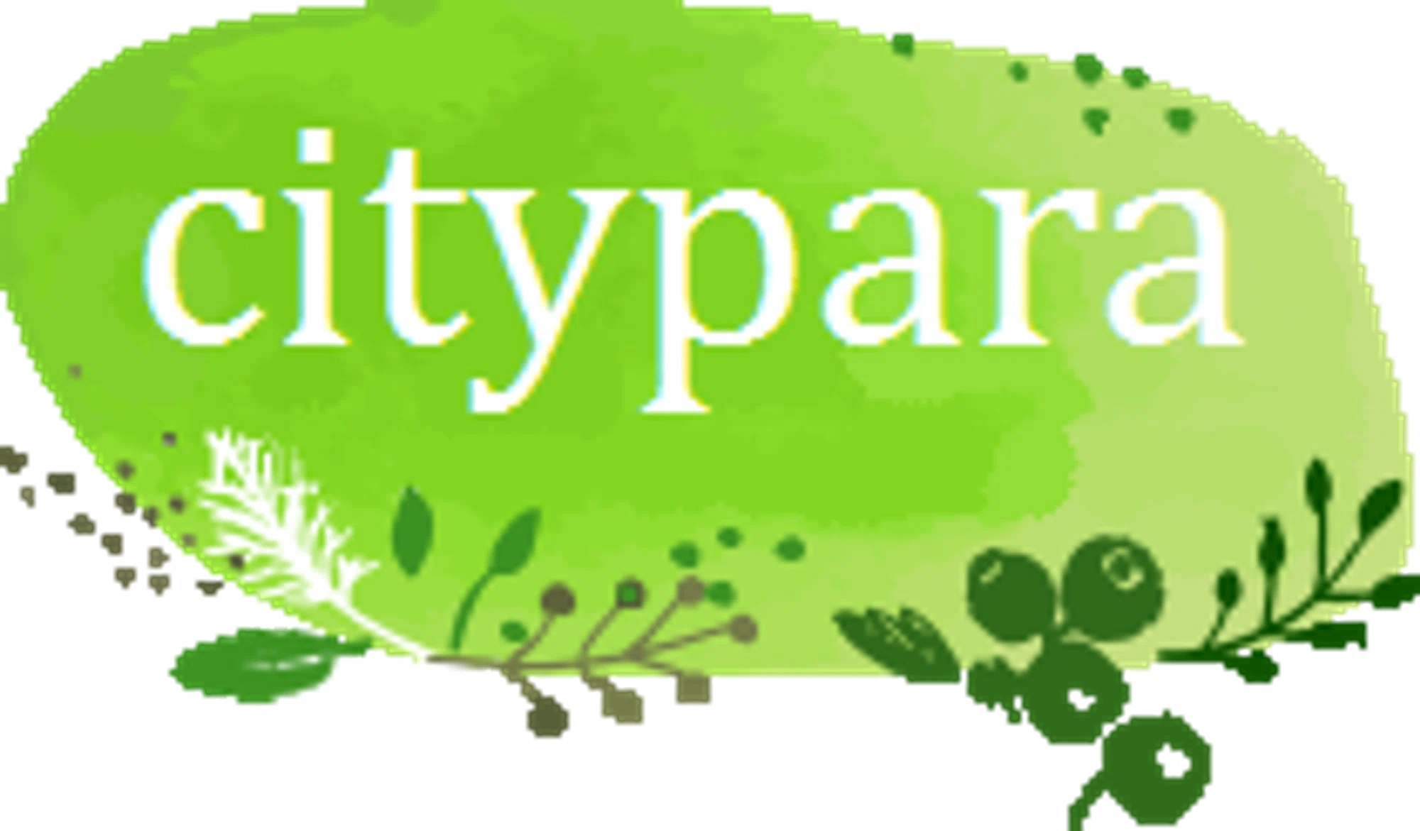 CITYPARA