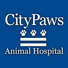 CityPaws Animal Hospital