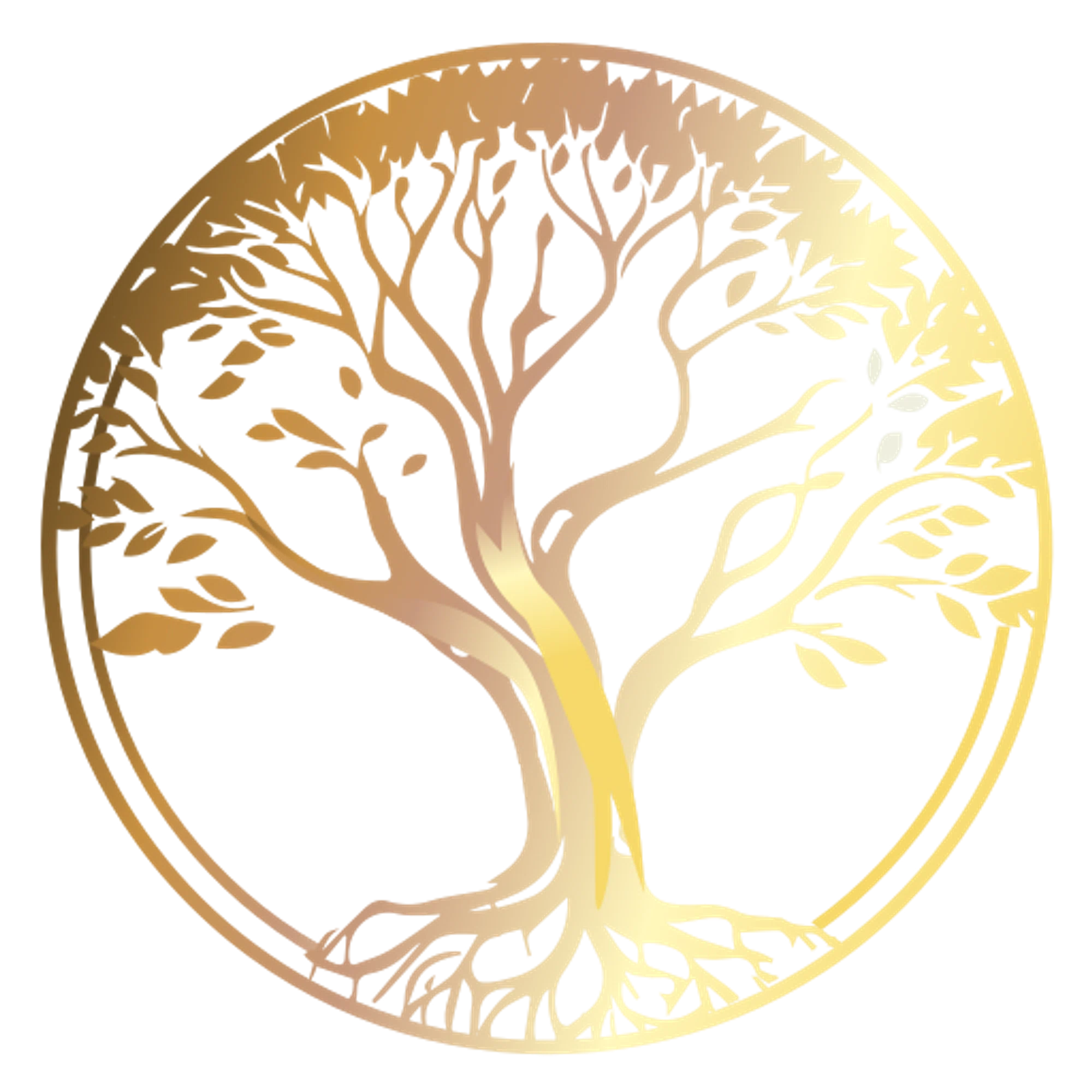 Clarity Catalyst Consulting