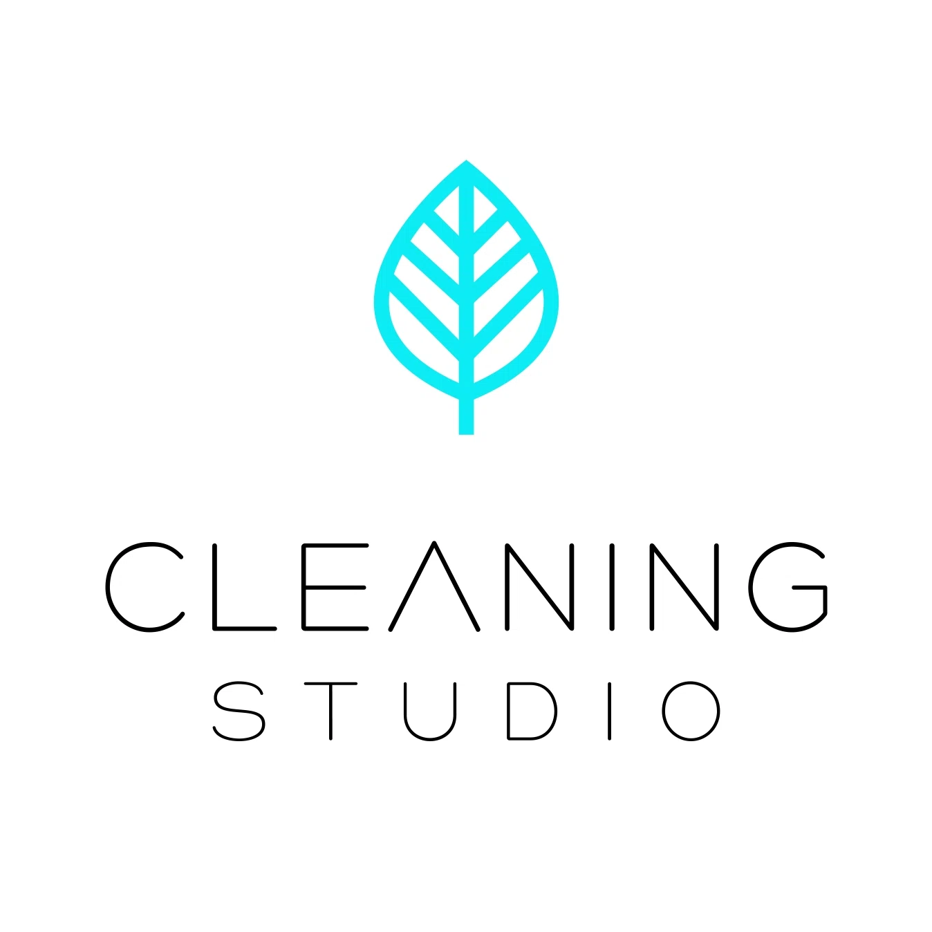 Cleaning Studio