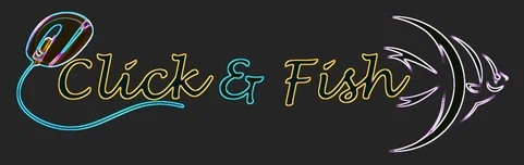 Click & Fish