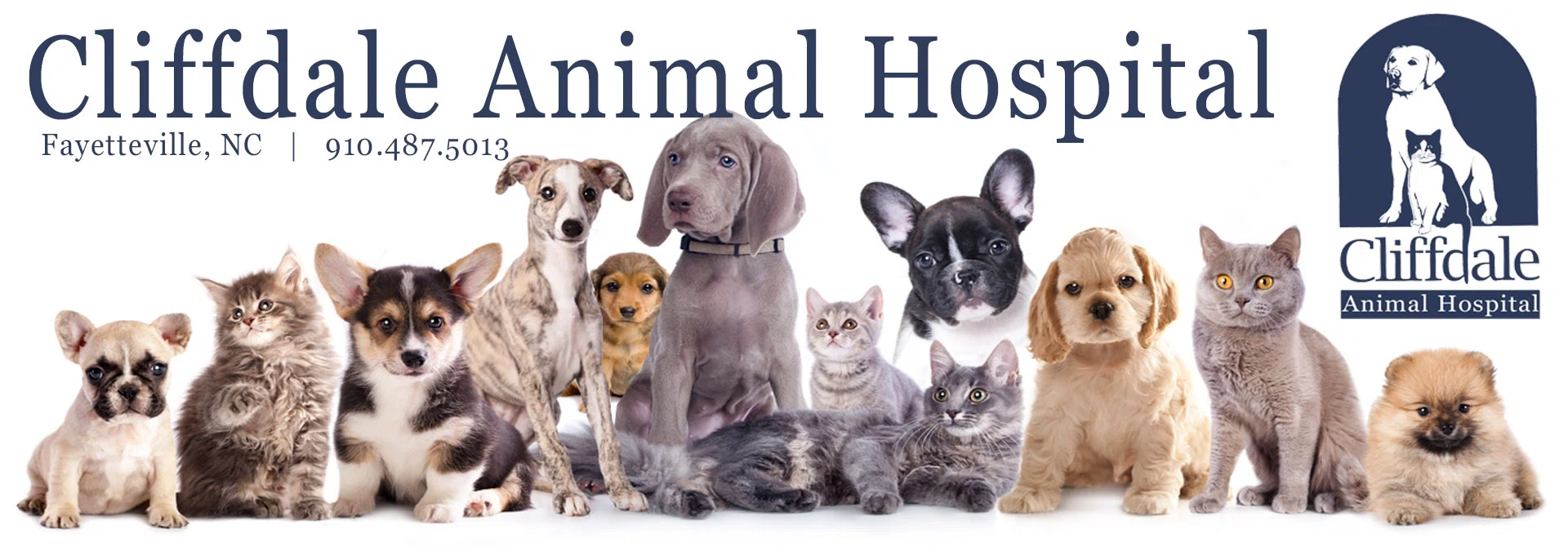 Cliffdale Animal Hospital