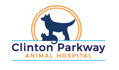 Clinton Parkway Animal Hospital