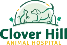 Clover Hill Animal Hospital