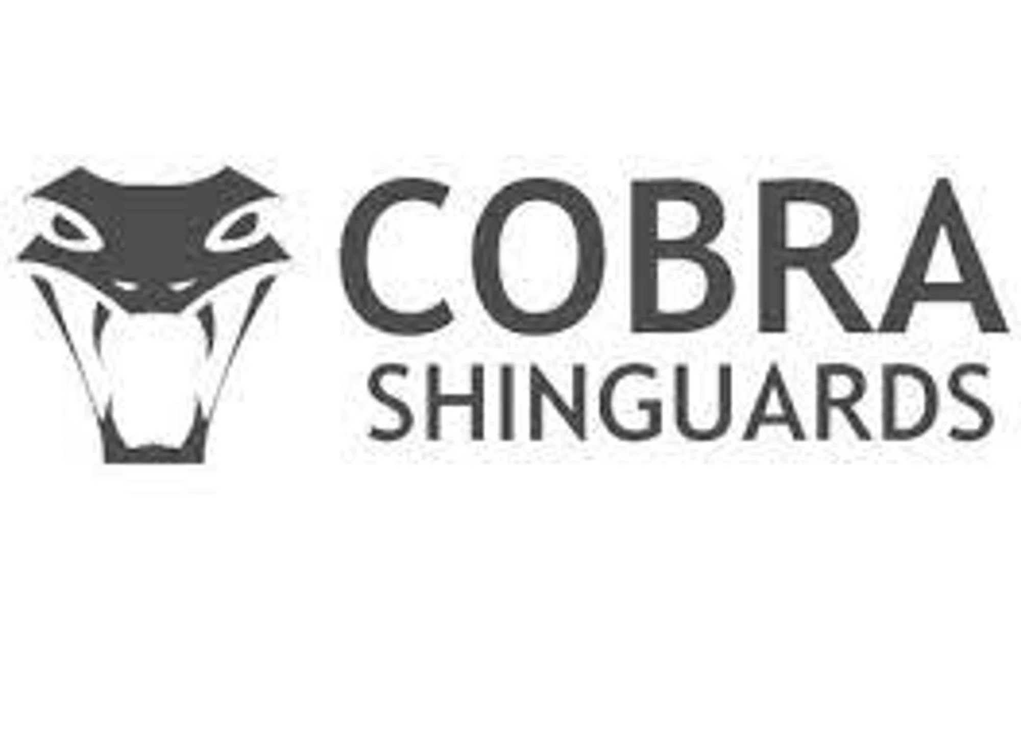 Cobra Shinguards