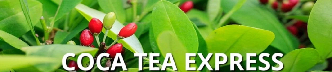 Coca Tea Express