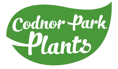 Codnor Park Plants