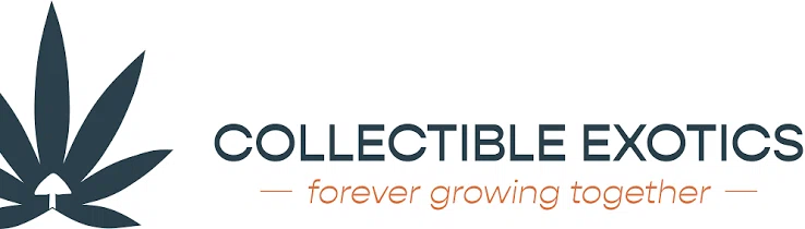 Collectible Exotics