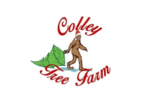 Colley Tree Farm