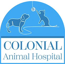 Colonial Animal Hospital