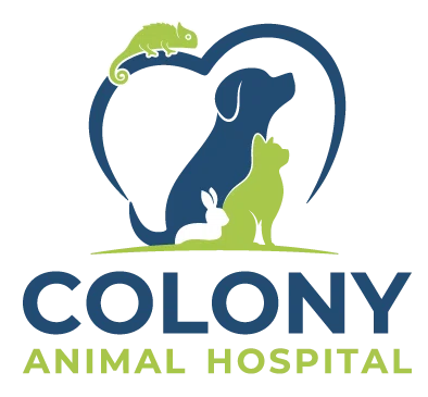 Colony Animal Hospital