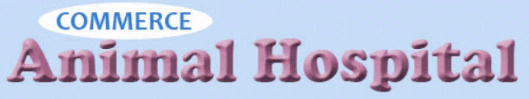 Commerce Animal Hospital