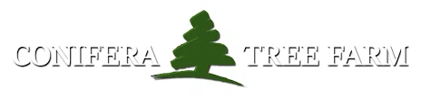 Conifera Tree Farm