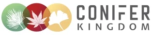 Conifer Kingdom