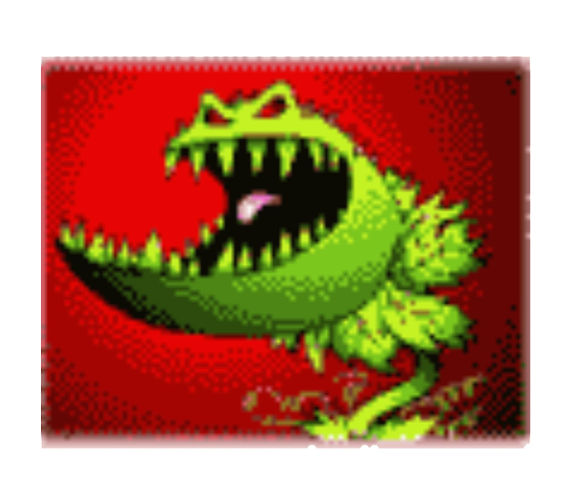 Cook’s Carnivorous Plants