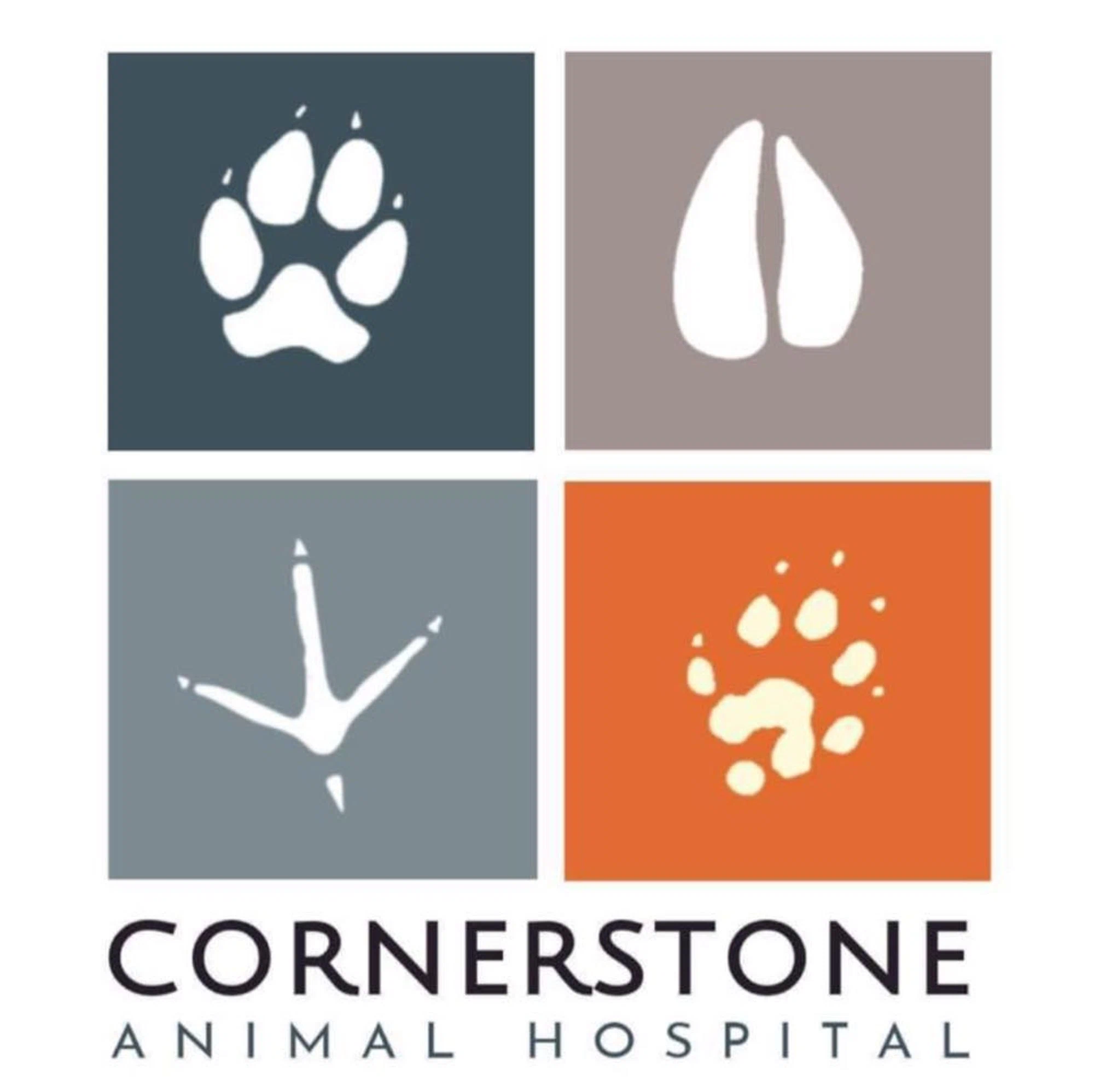 Cornerstone Animal Hospital