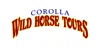 Corolla Wild Horse Tours