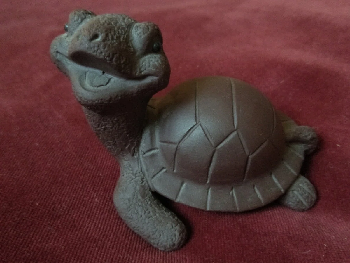 Cosmic Tortoise Tea