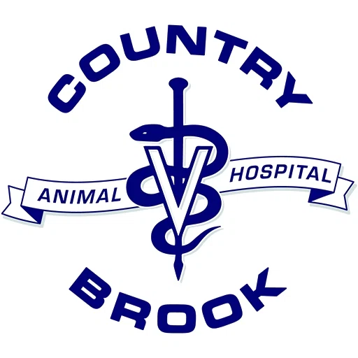 Country Brook Animal Hospital
