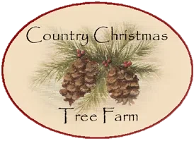 Country Christmas Tree Farm