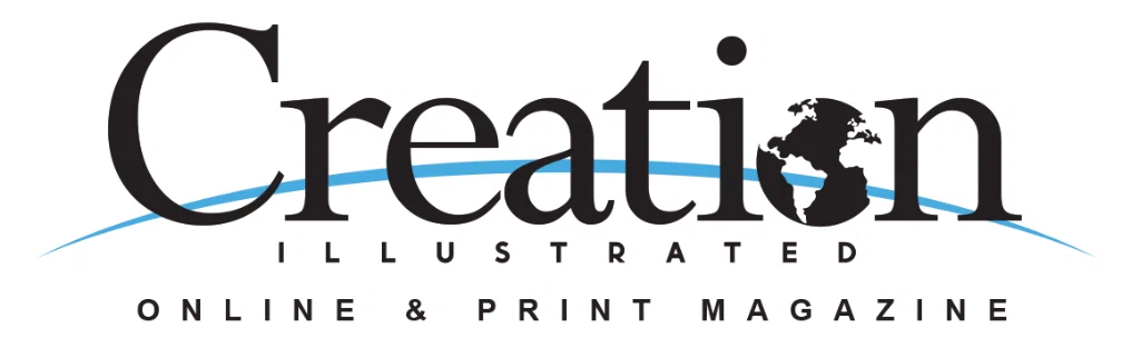 Creation Illustrated