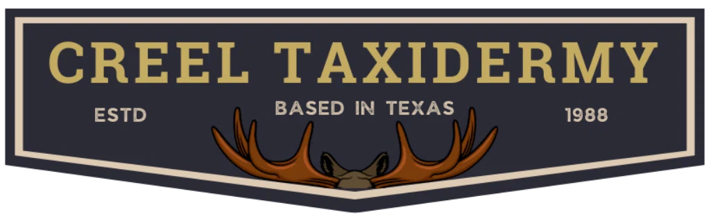 Creel Taxidermy
